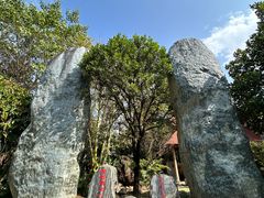 -云南勐巴娜西珍奇园