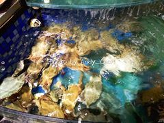 -浩运·海鲜青岛菜·海胆水饺(石老人店)