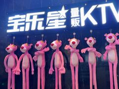 -宝乐星量贩KTV(莲升路店)