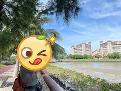 -万绿园