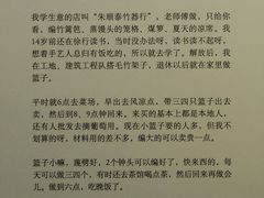 嘉定区徐行镇钱桥村采访实录-徐汇艺术馆