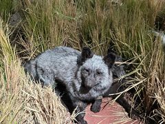 -陕西自然博物馆