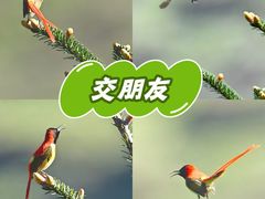 -长虫山生态公园风景林