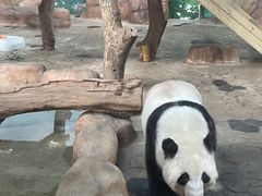 -南宁市动物园