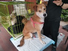 -COSTA COFFEE(上海虹口公园店)