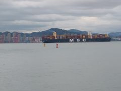 -演武大桥观景平台