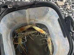 -DGE季风钓虾营地·团建·聚会