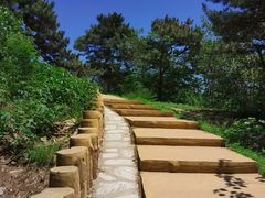 -北京西山国家森林公园