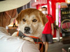 -深圳龙华星河COCO City(民治店)