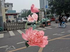 -济南市中医医院(中心院区)