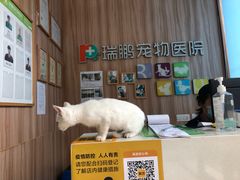 -瑞鹏宠物医院·内科·中兽医·骨科(苗圃店)