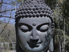 -杭州植物园