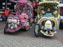 -荷兰红屋