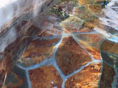 -中家鑫园温泉酒店鑫悦汤泉