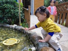 -蒙蒙狮蒙台梭利儿童之家
