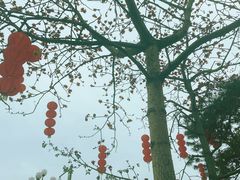 -广州莲花山旅游区