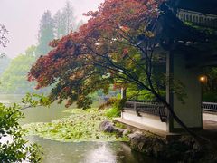 -山外山菜馆(玉泉路店)