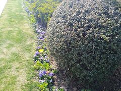 -无锡市市民中心