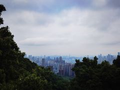 -南山植物园