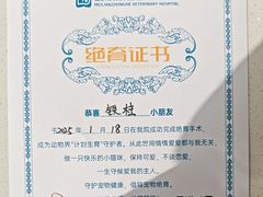 -美联众合动物医院·24h京西诊疗中心
