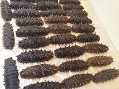 -宫品海参专卖店(黄浦老西门店)