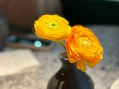 -芭莉与彩虹西餐厅(成都合生汇店)