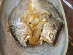-福来齐·鲁菜海鲜·渔家菜(朝阳街分店)