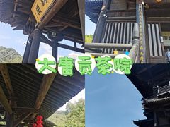 -大唐贡茶院