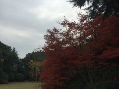 -上海虹桥迎宾馆