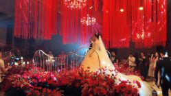 -成都世外桃源酒店-宴会厅·草坪婚礼·会议活动