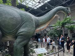 -国家自然博物馆