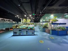 -上海大自然野生昆虫馆(东方明珠·爬宠昆虫探索中心)