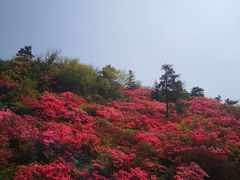 -木兰云雾山