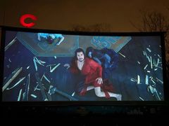 -枫花园汽车电影院(朝阳公园店)