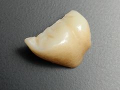 -福建美食城(老君堂店)