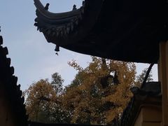 -西园戒幢律寺
