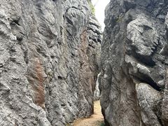 -千岛湖石林