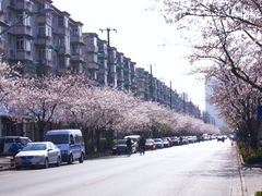-永乐路-路侧停车场