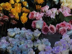 -循礼门鲜花花市(武汉循礼门店)