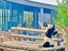 -大连森林动物园