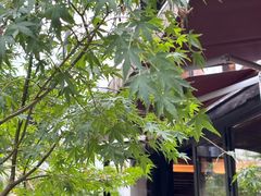 -Metal hands·铁手咖啡