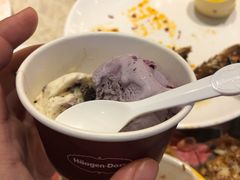 哈根达斯-芭菲盛宴·环球美食(北城国际店)