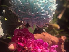 -曲水兰亭(北京四惠店)