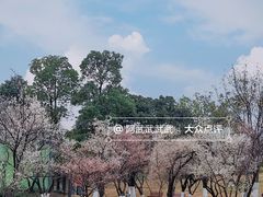 -桂溪生态公园