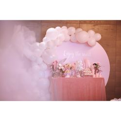 -圣塔拉 宝宝宴生日Party气球派对一站式高端策划
