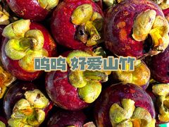 -胡麻地果研所(兰州中心BM店)