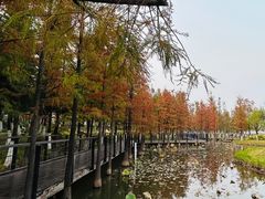 -映月湖公园