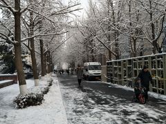 -北京化工大学(东校区)