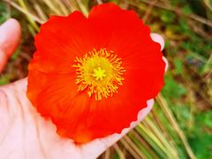 -名花谷生态庄园