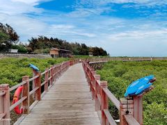 -北海金海湾红树林生态旅游区